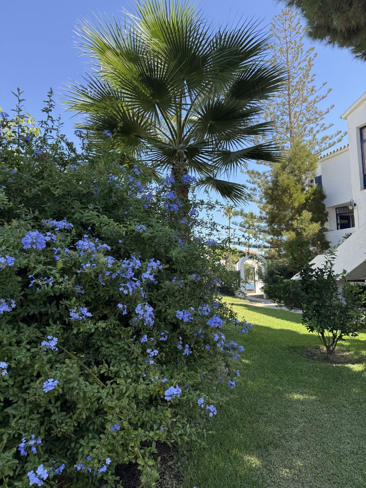 Property main view 37