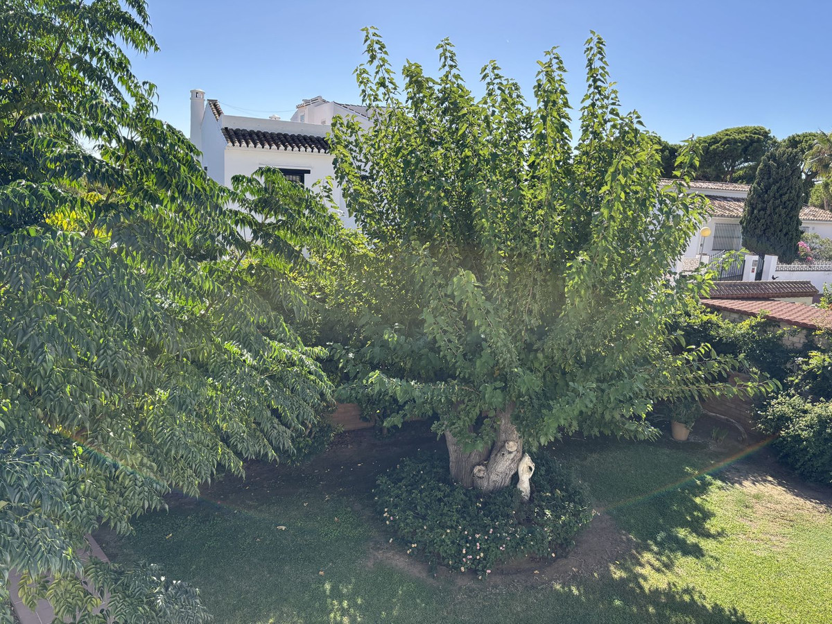 Property main view 25