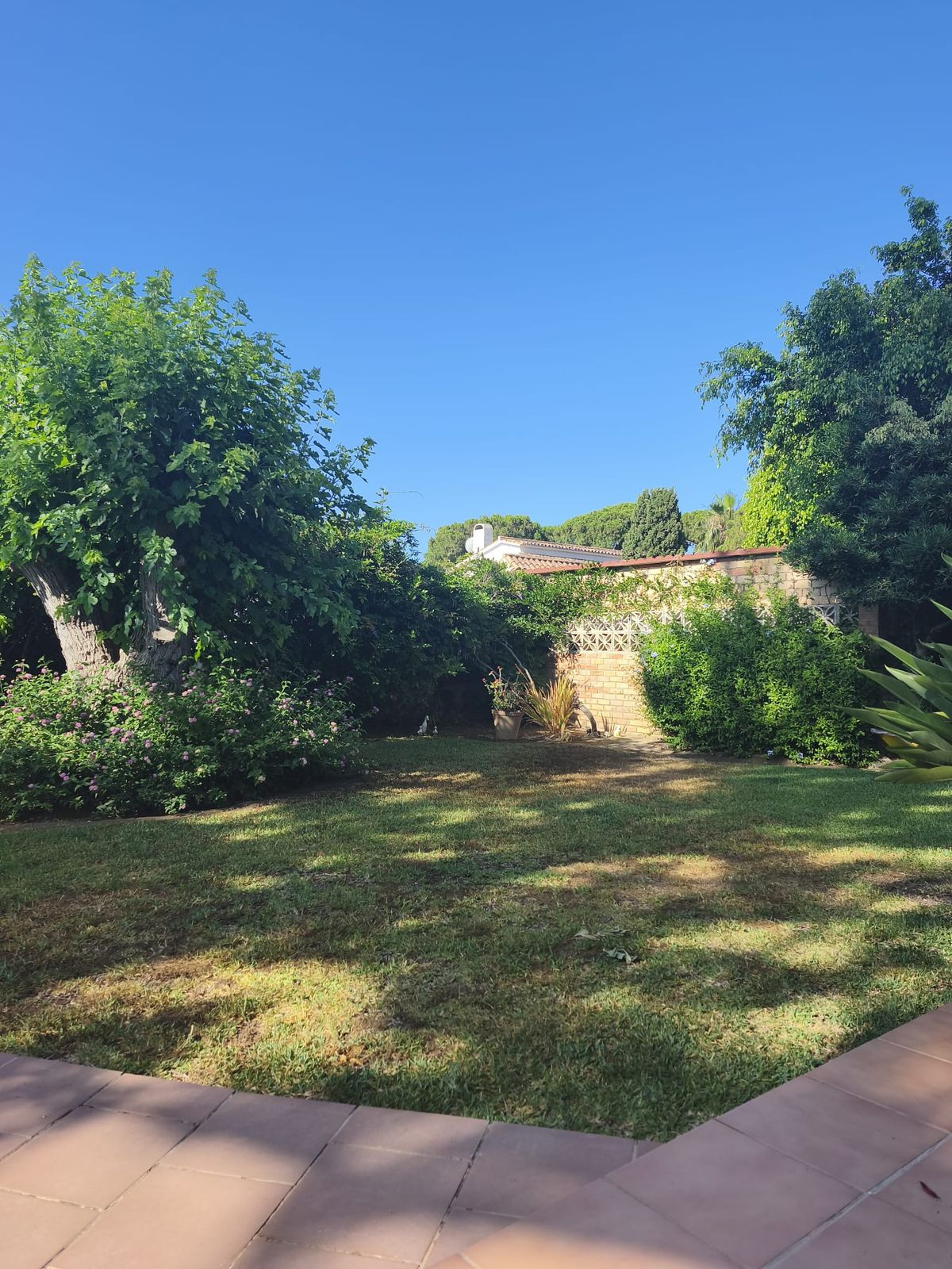 Property main view 50
