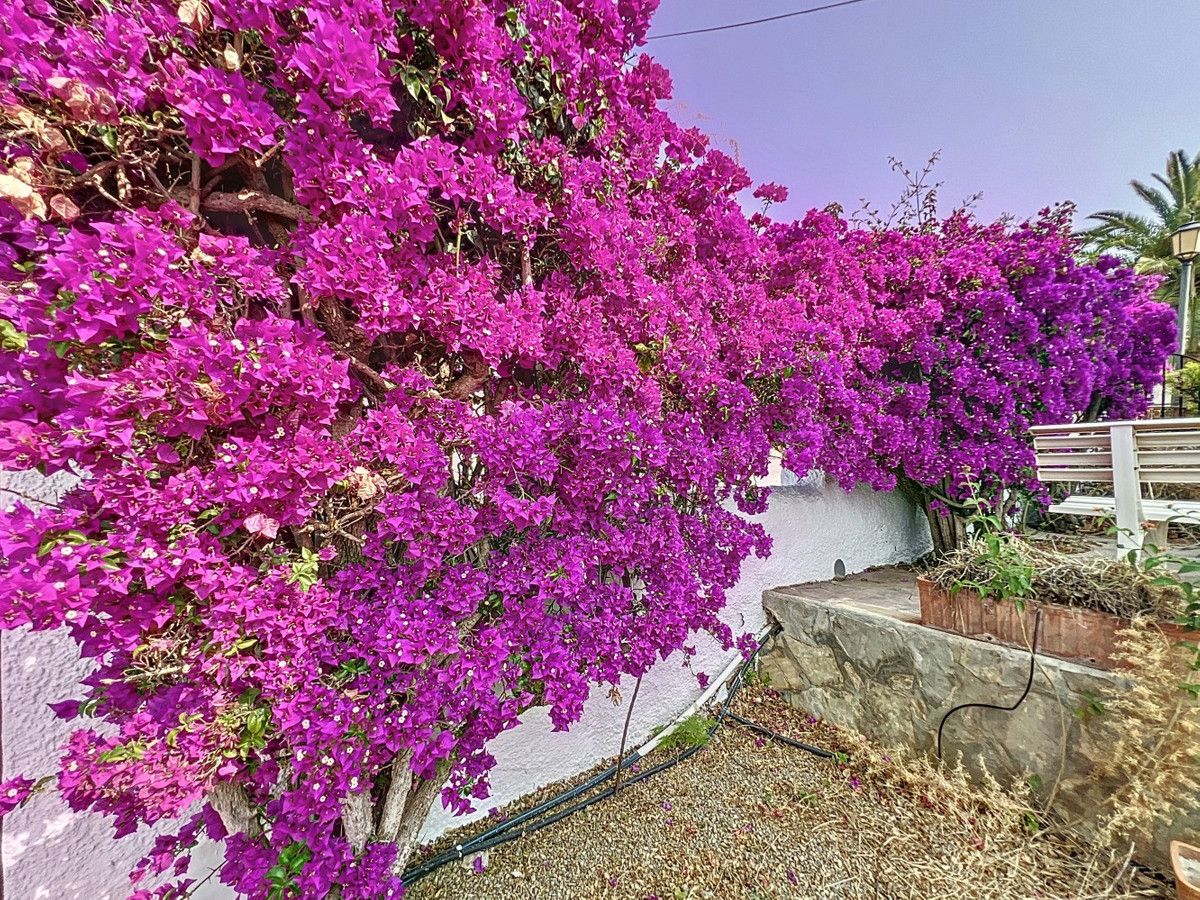 Huis te koop in Caleta de Vélez | 5 slaapkamers H5063140