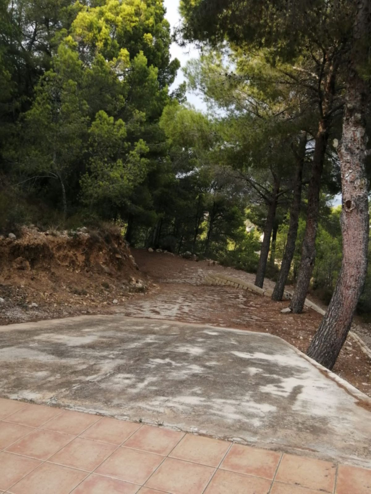 Property main view 6