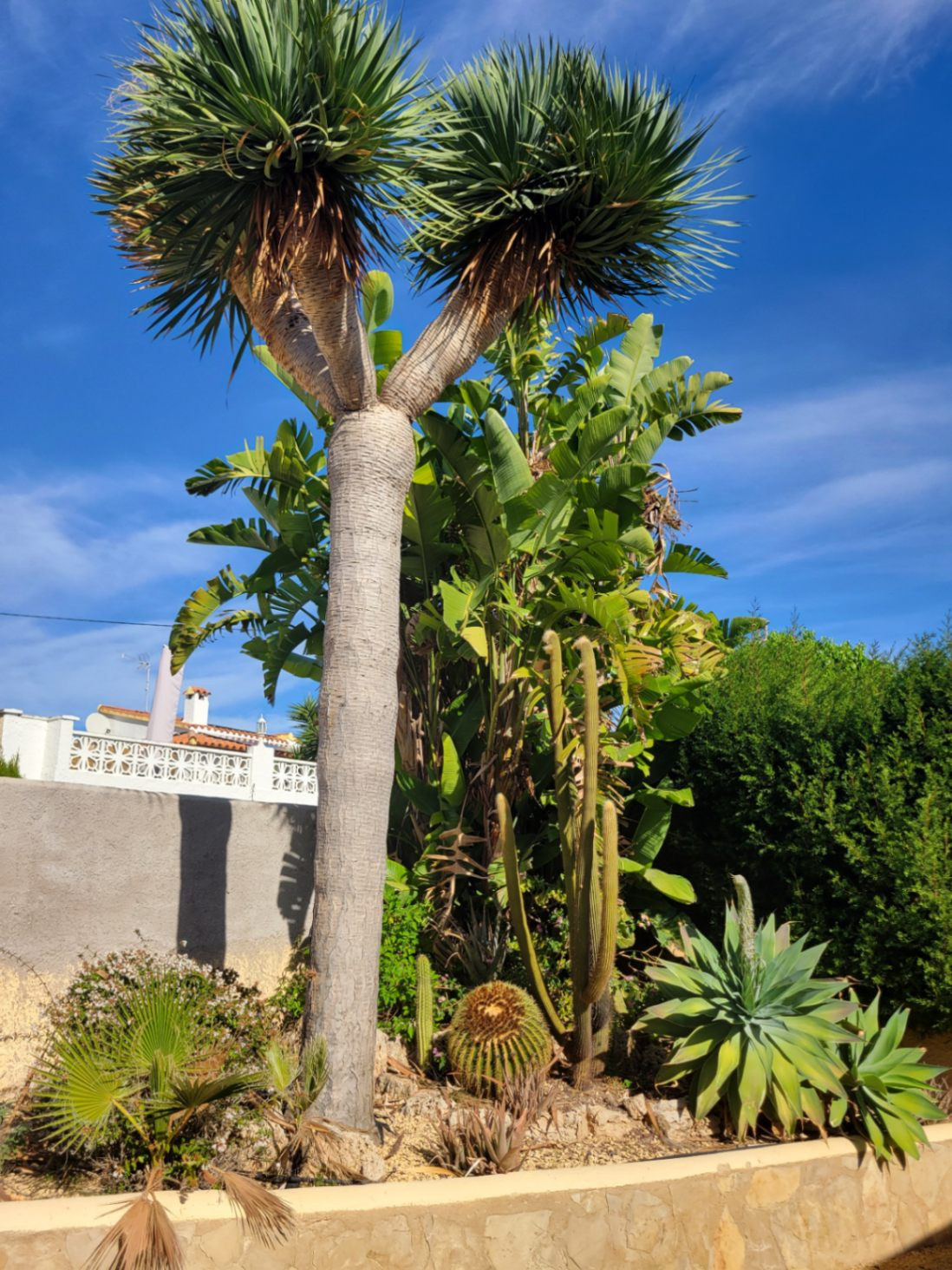 Property main view 38