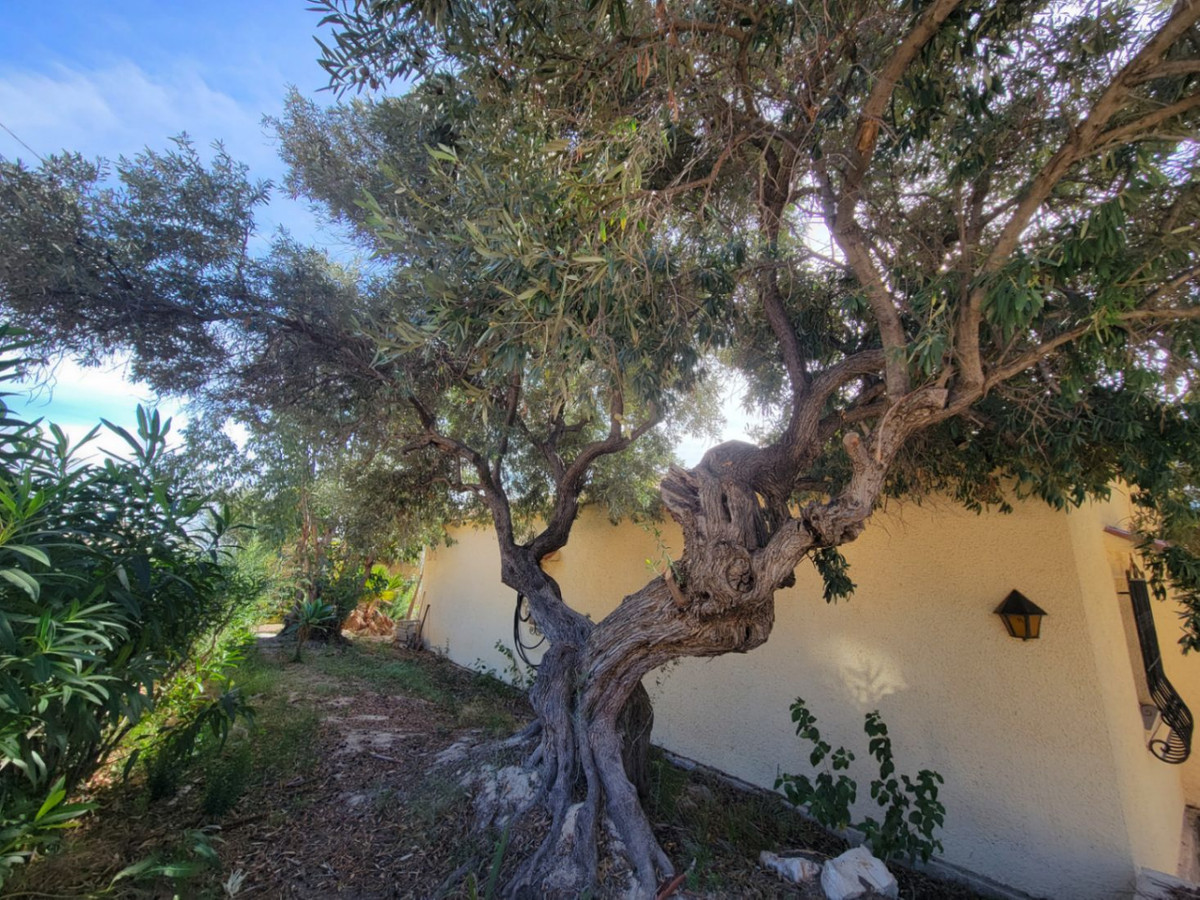 Property main view 16