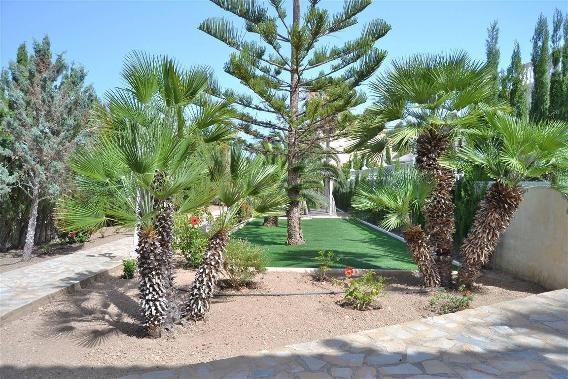 Property main view 19