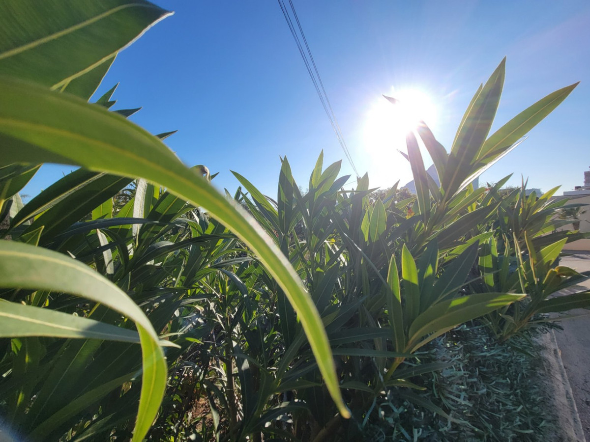 Grond te koop in Calpe | 0 slaapkamers H5286784