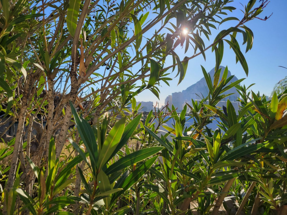 Grond te koop in Calpe | 0 slaapkamers H5286784