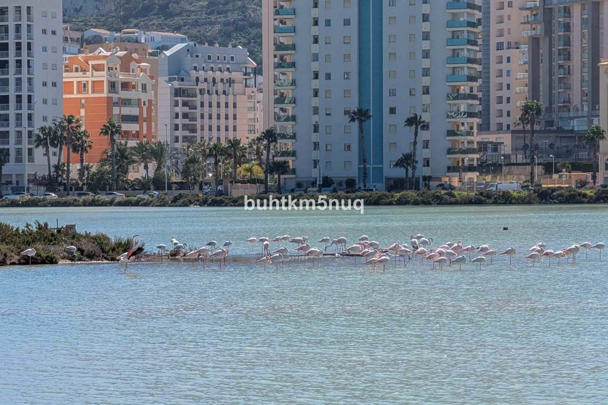 Property main view 27