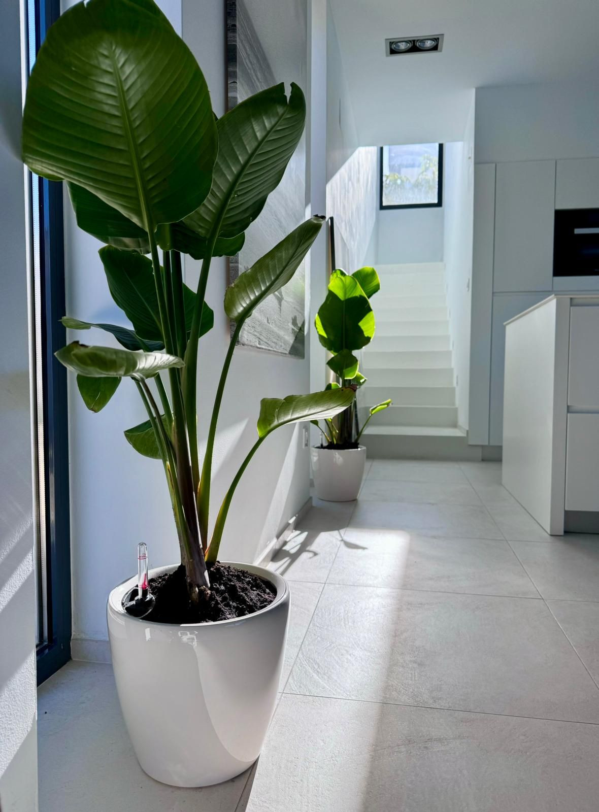 Vrijstaande Villa te koop in Calpe | 2 slaapkamers H5371192