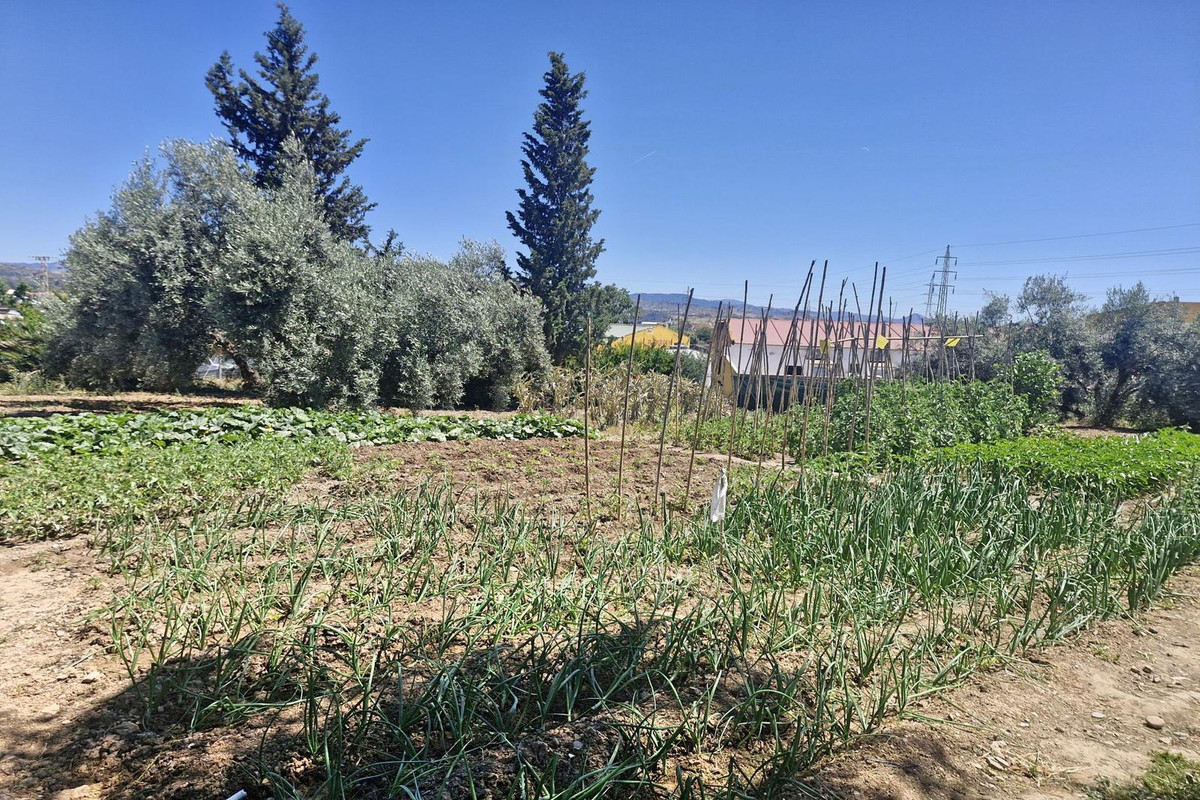 Property main view 19