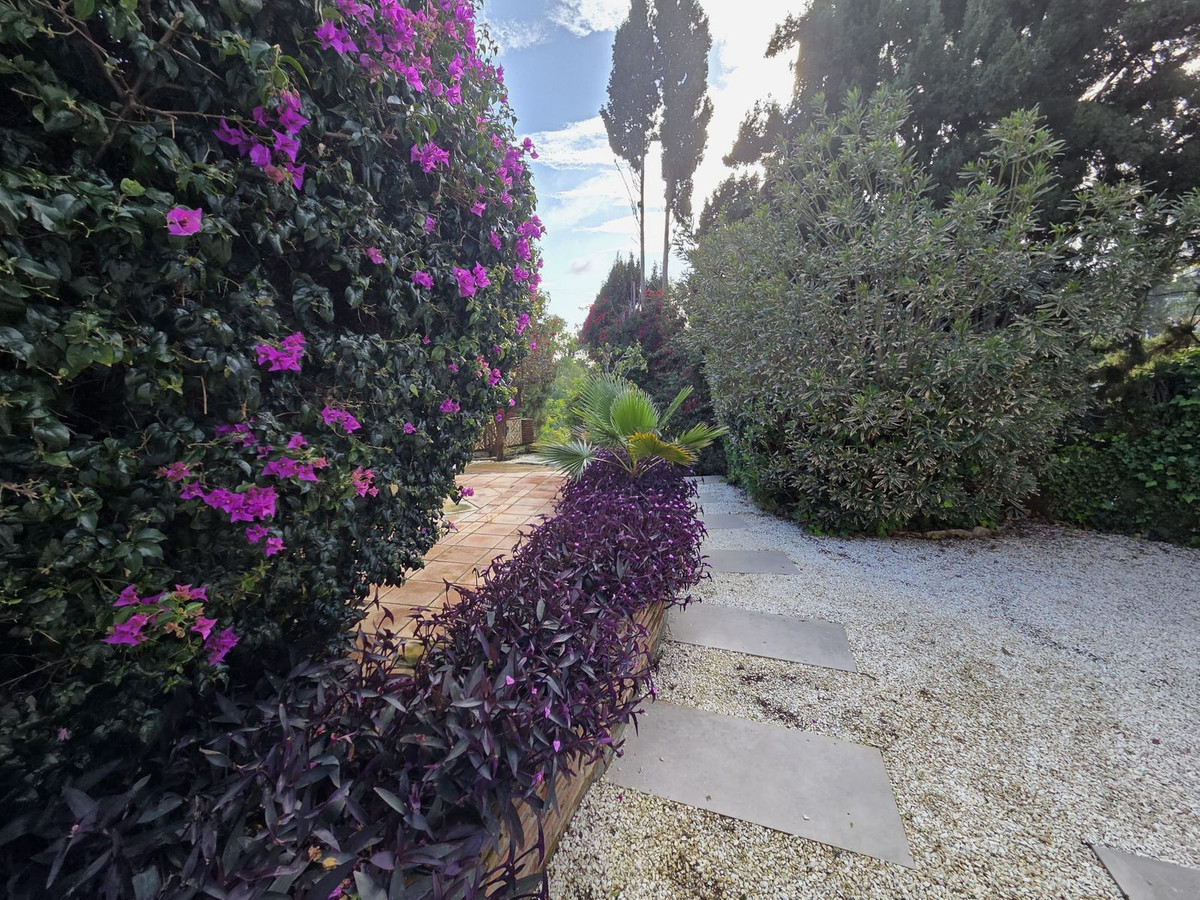 Vrijstaande Villa in Campo Mijas-3