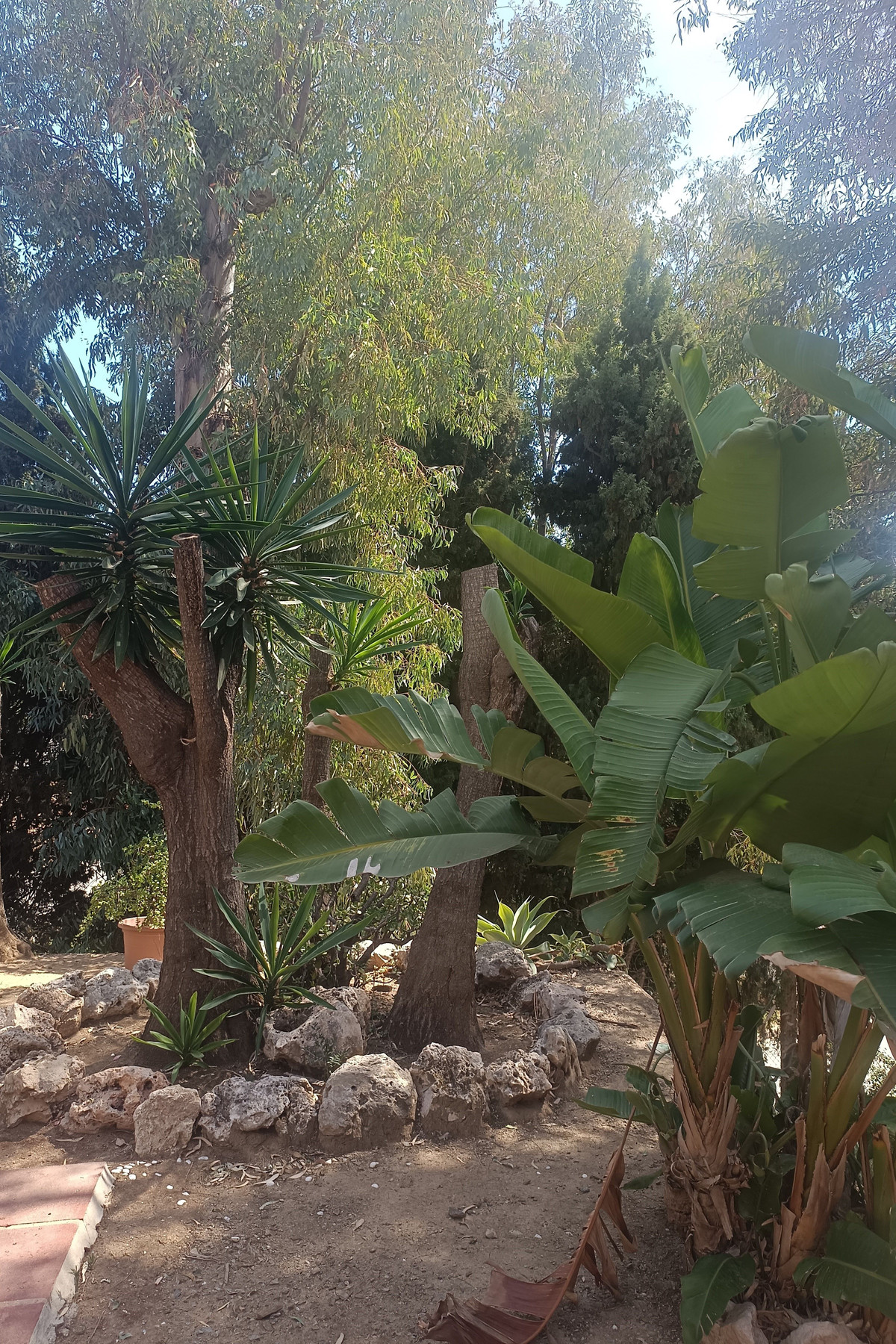 Huis te koop in Campo Mijas | 4 slaapkamers H5123755