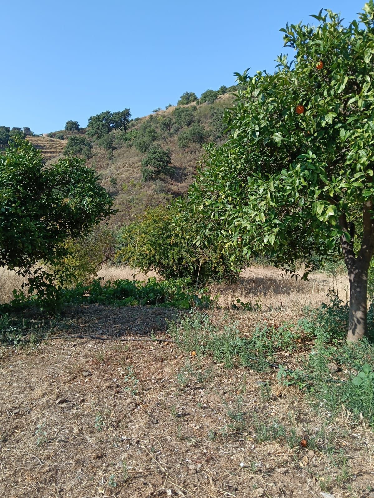 Huis te koop in Campo Mijas | 4 slaapkamers H5236123