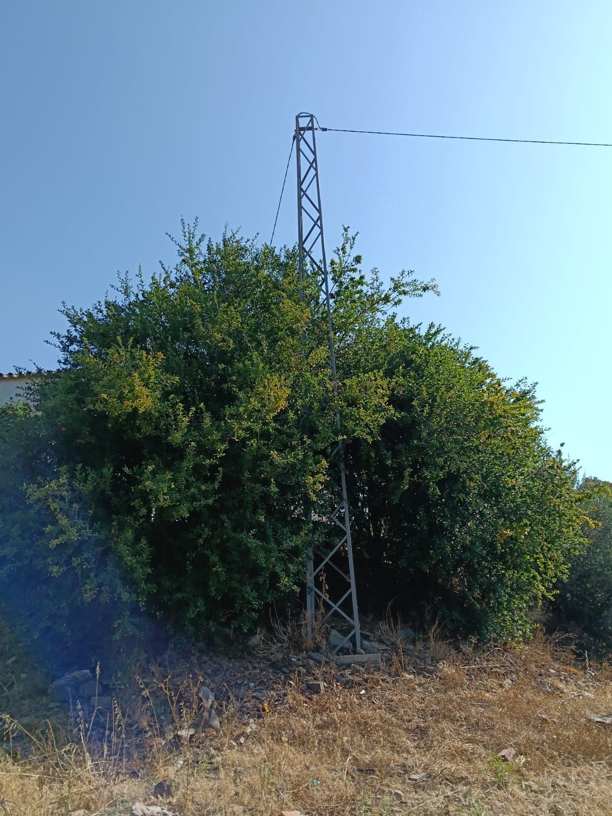 Huis te koop in Campo Mijas | 4 slaapkamers H5236123