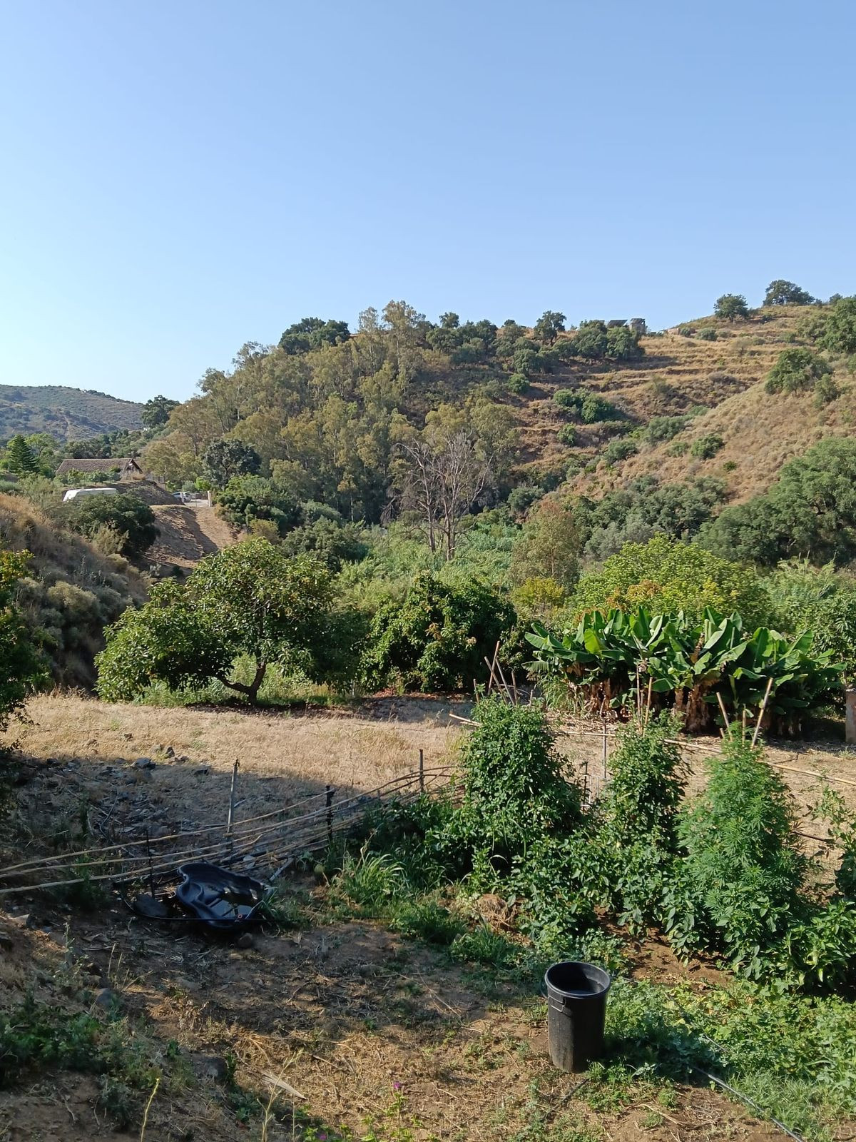 Huis te koop in Campo Mijas | 4 slaapkamers H5236123