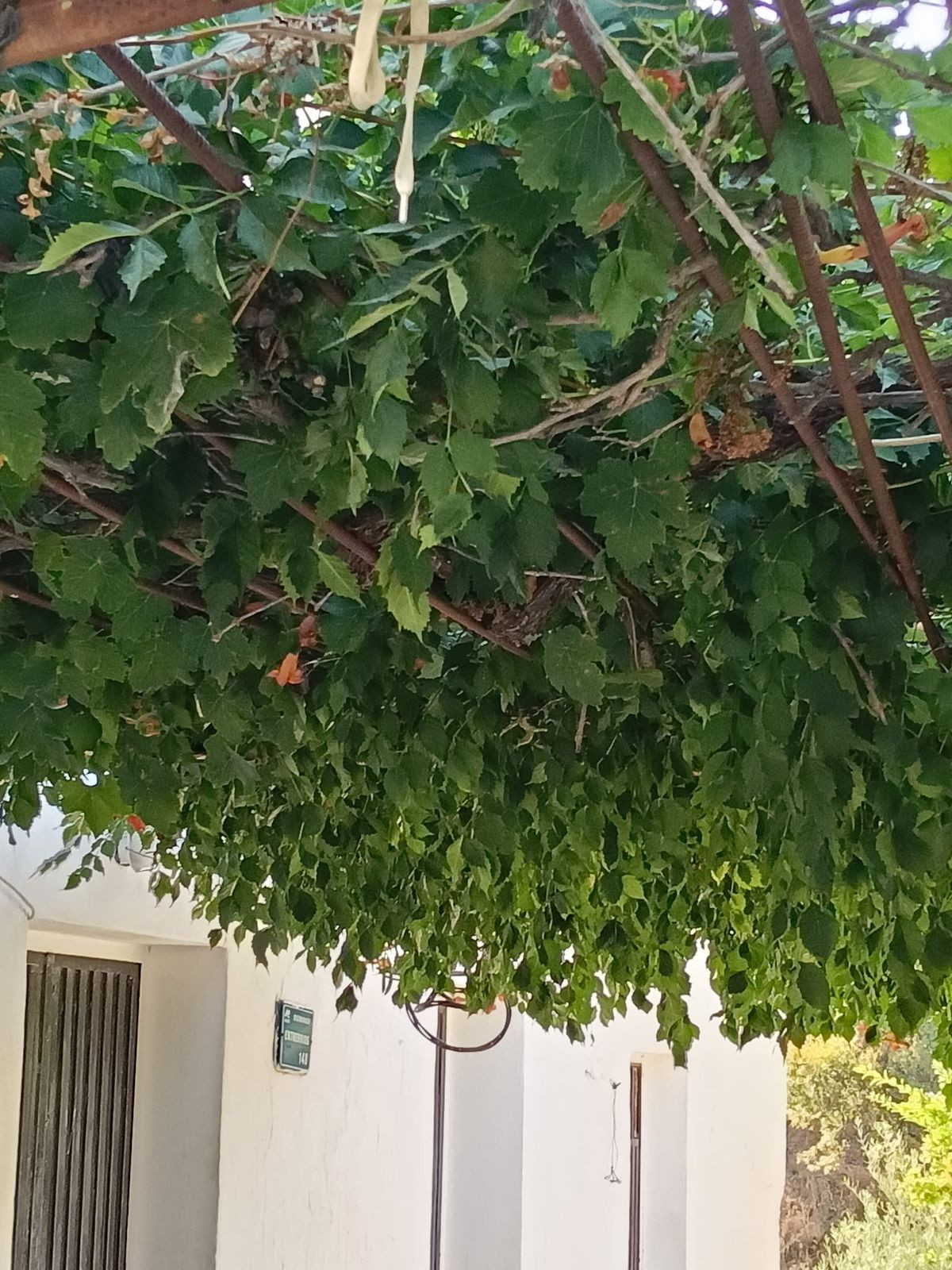 Huis te koop in Campo Mijas | 4 slaapkamers H5236123