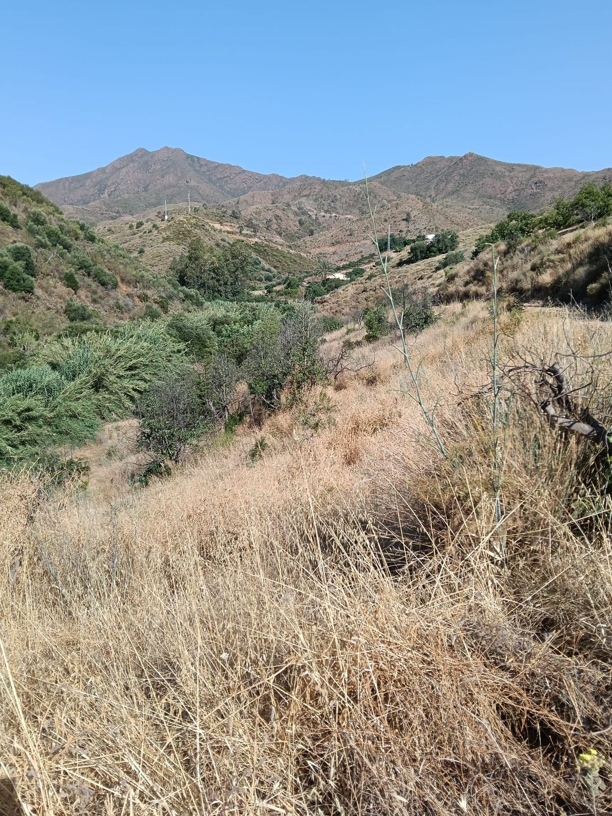 Huis te koop in Campo Mijas | 4 slaapkamers H5236123