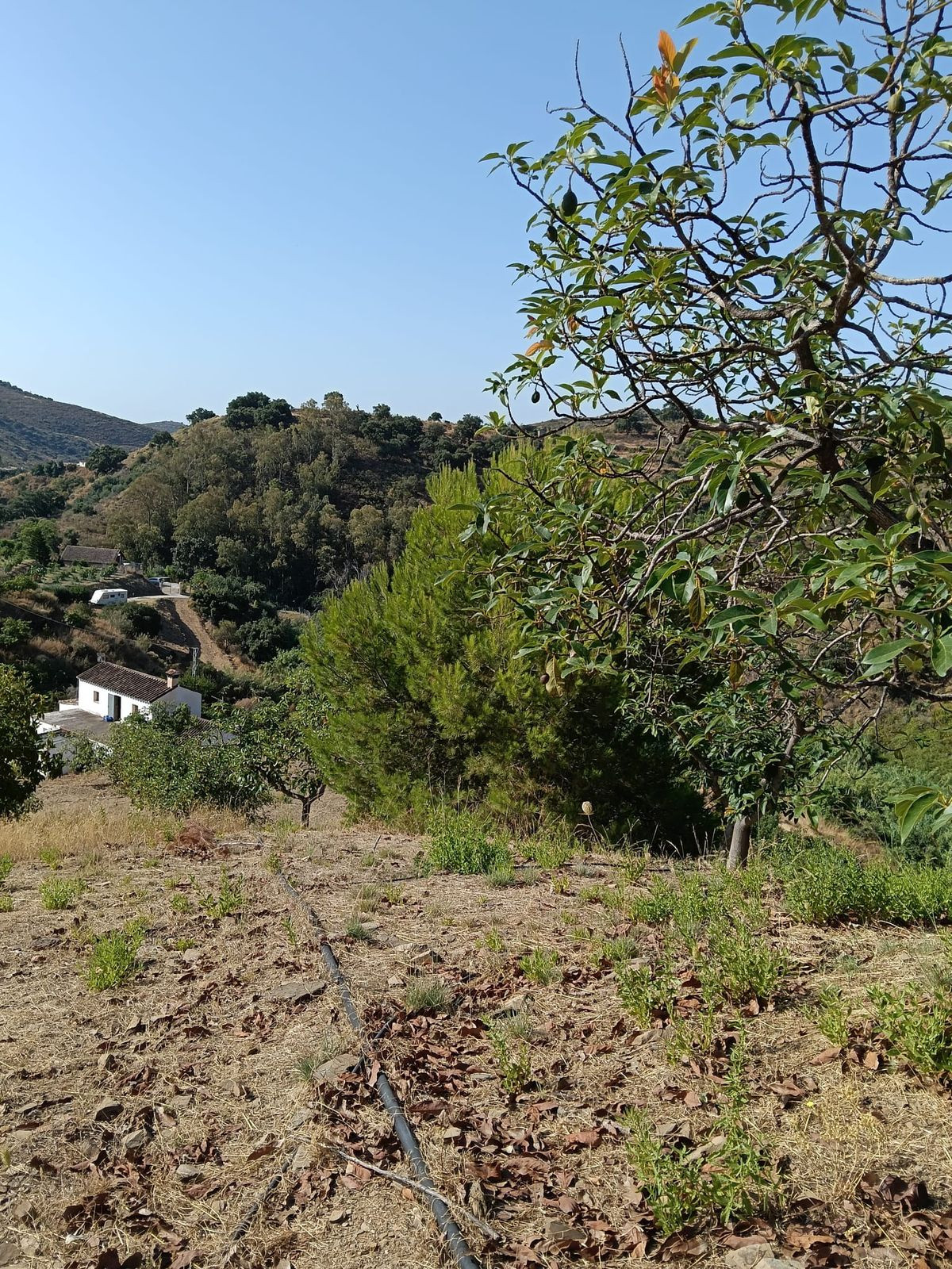 Huis te koop in Campo Mijas | 4 slaapkamers H5236123