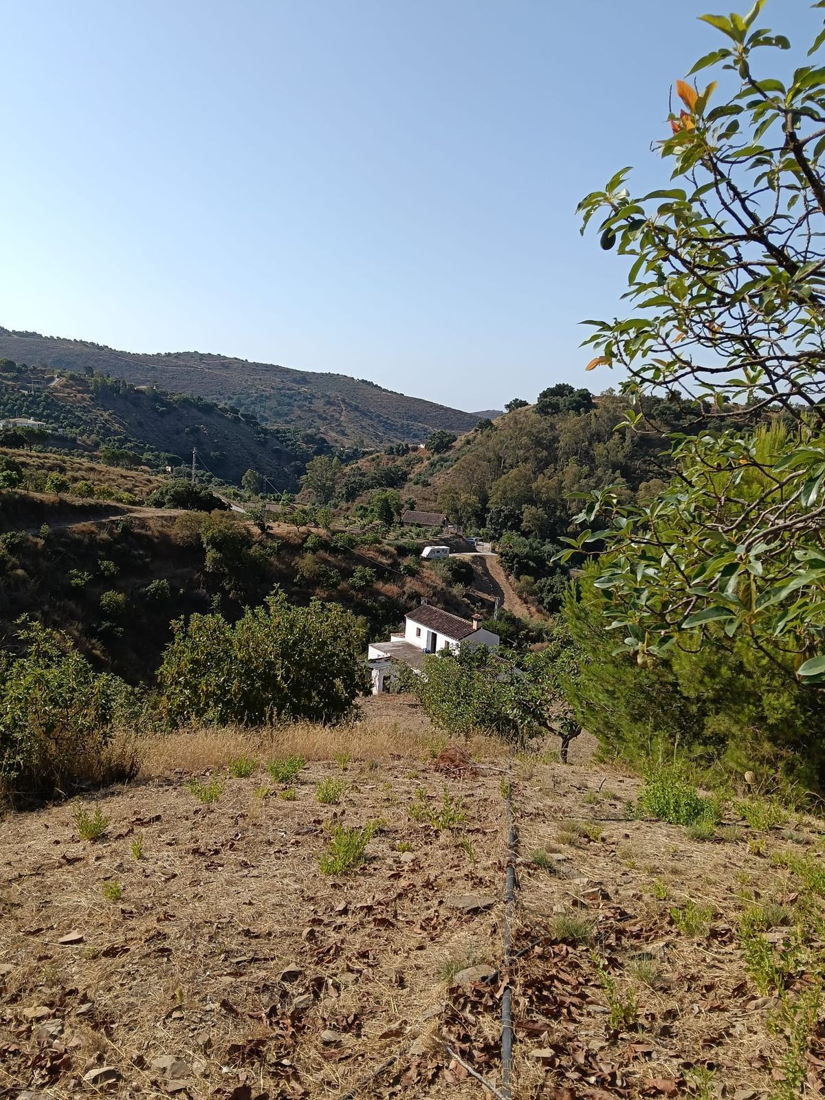 Huis te koop in Campo Mijas | 4 slaapkamers H5236123