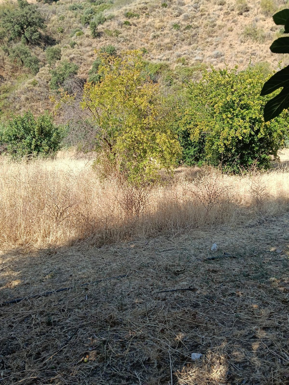 Huis te koop in Campo Mijas | 4 slaapkamers H5236123