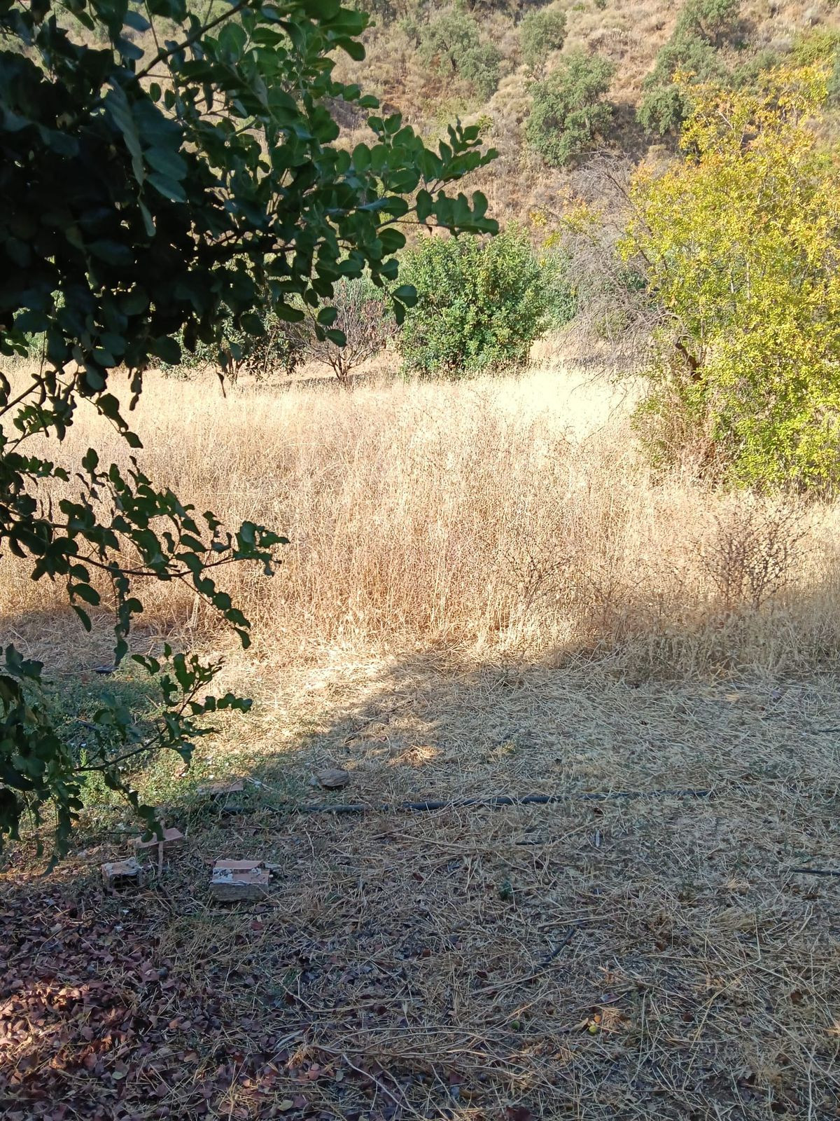 Huis te koop in Campo Mijas | 4 slaapkamers H5236123