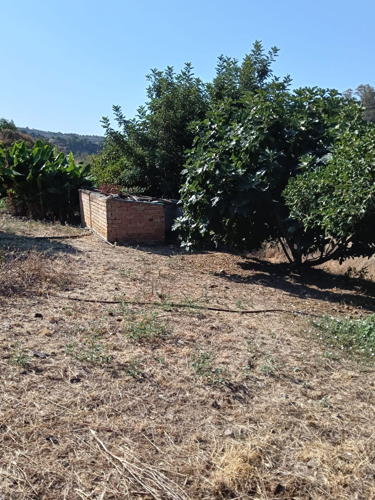 Huis te koop in Campo Mijas | 4 slaapkamers H5236123