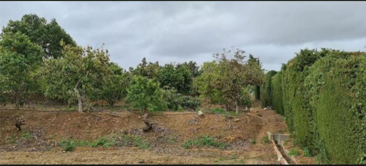 Huis te koop in Campo Mijas | 3 slaapkamers H5350711