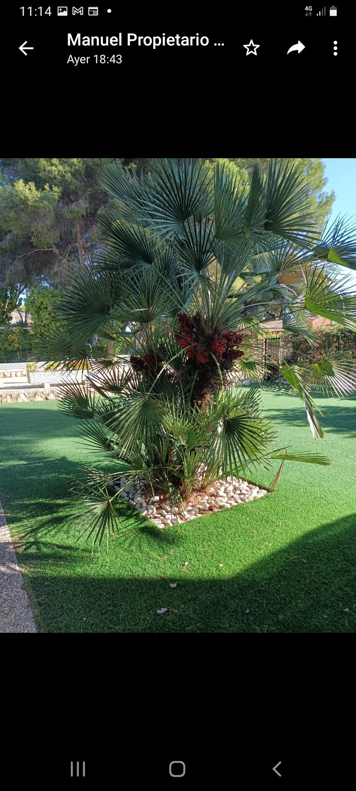 Property main view 7