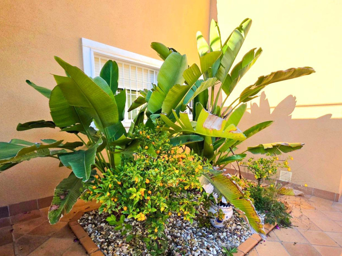 Property main view 37