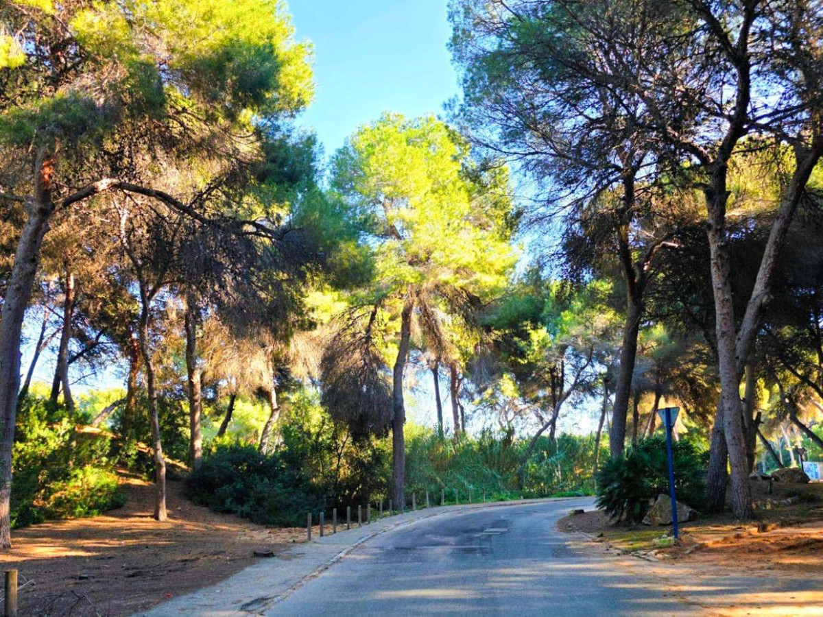 Property main view 4