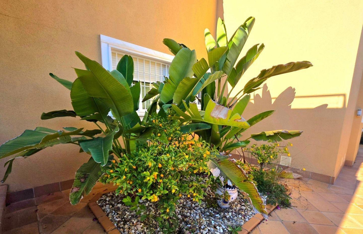 Huis te koop in Campoamor | 5 slaapkamers H5383102