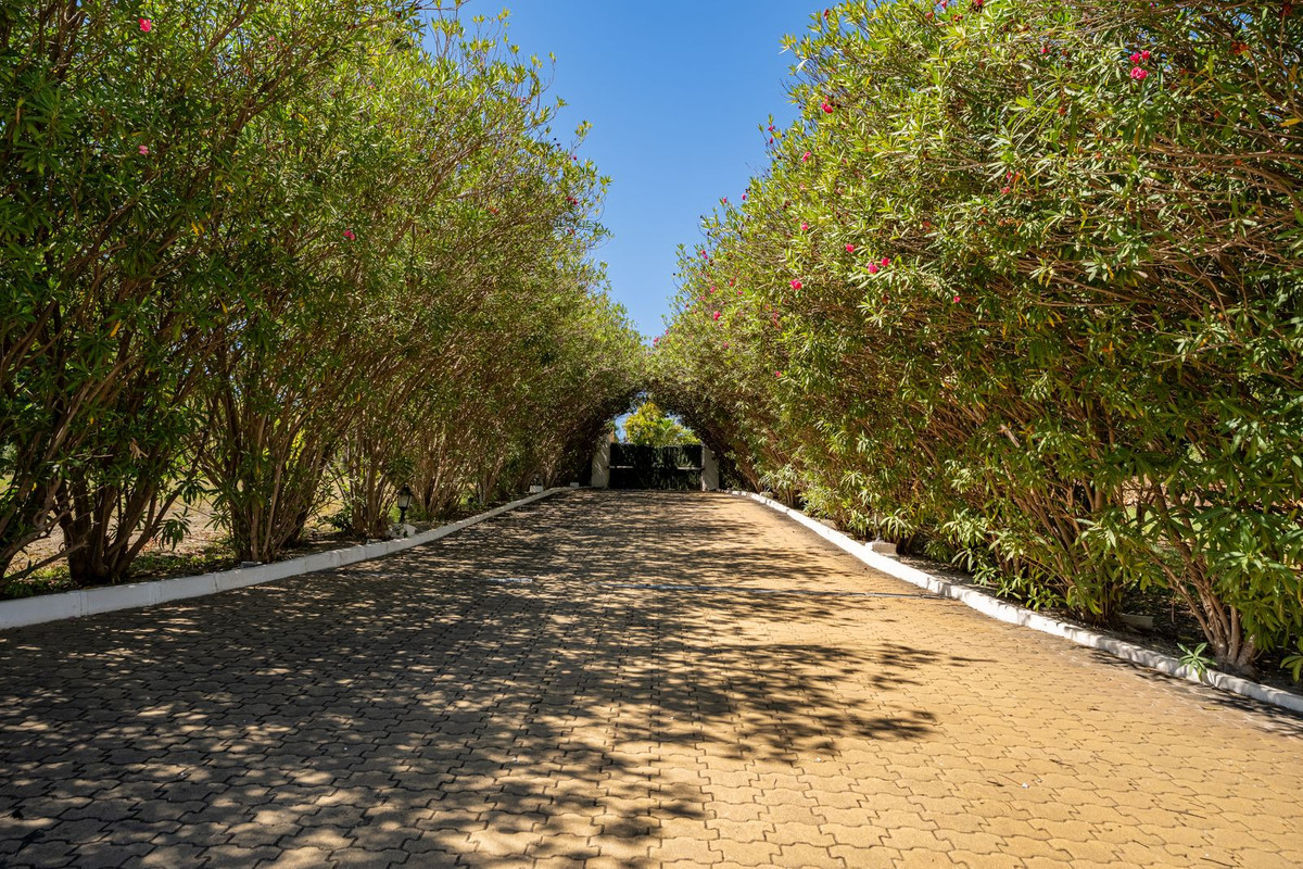 Property main view 48
