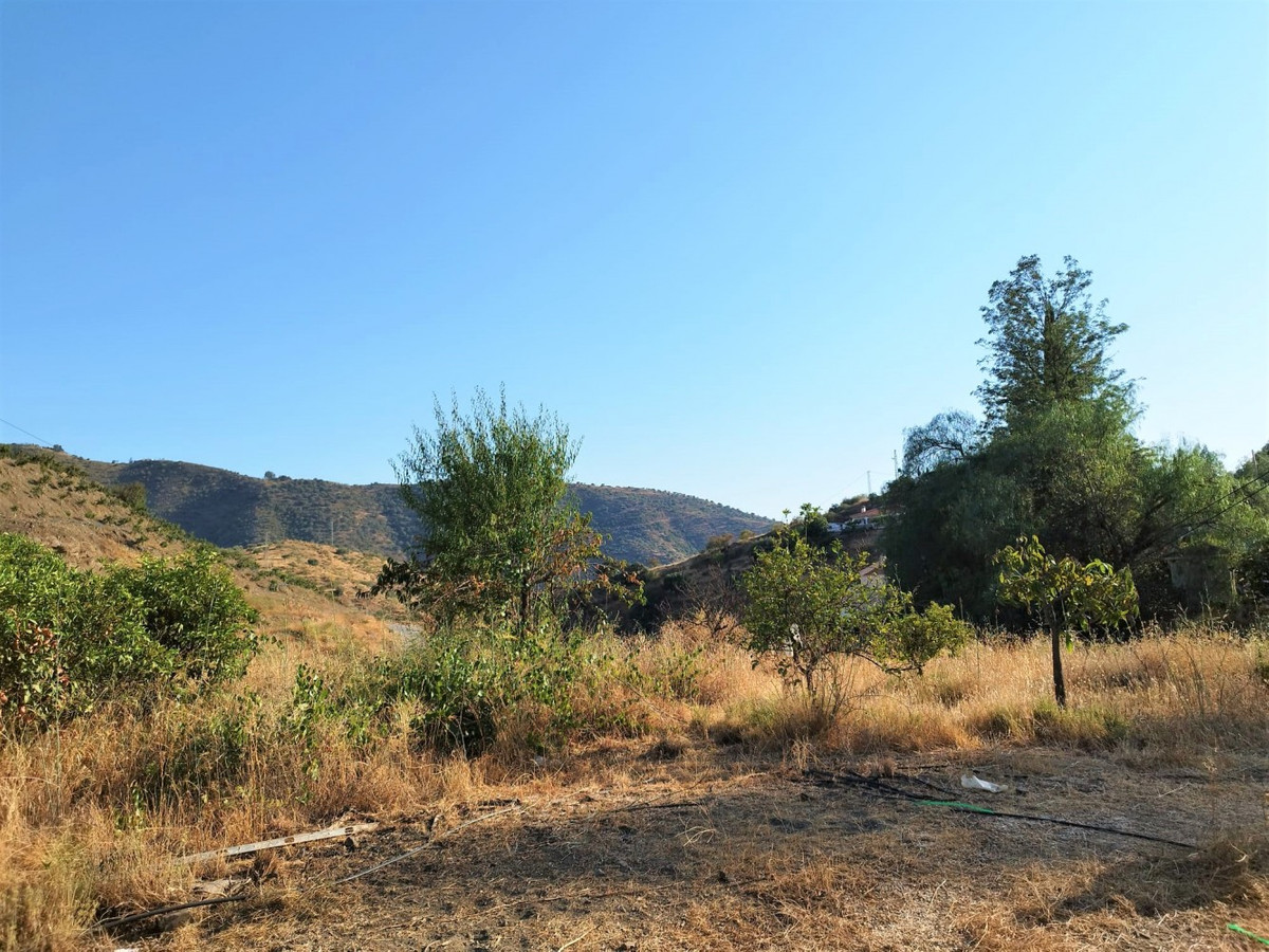 Property main view 19