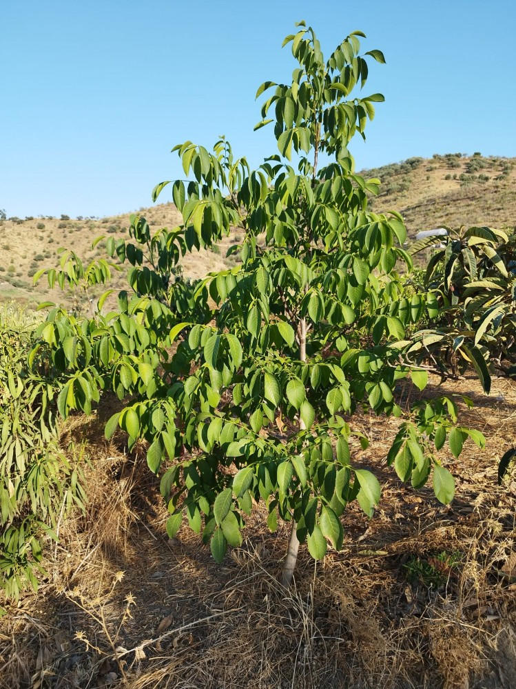 Property main view 21