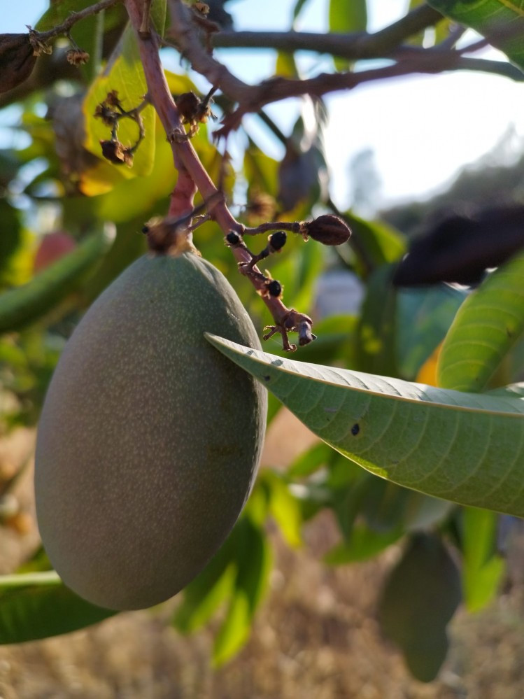 Property main view 22