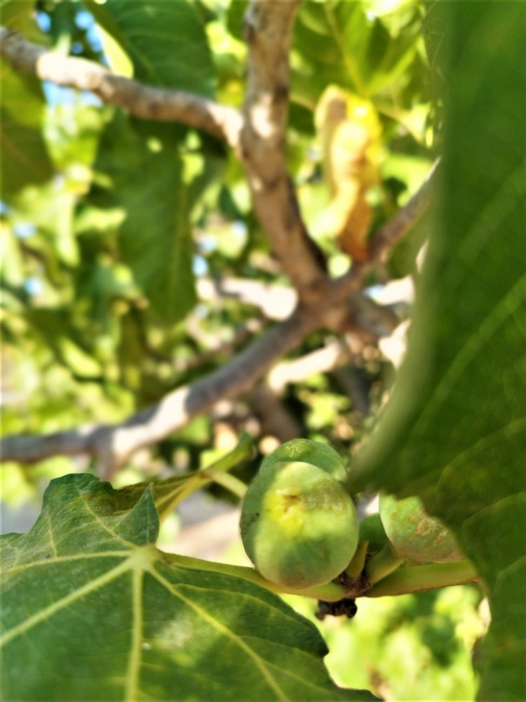 Property main view 23