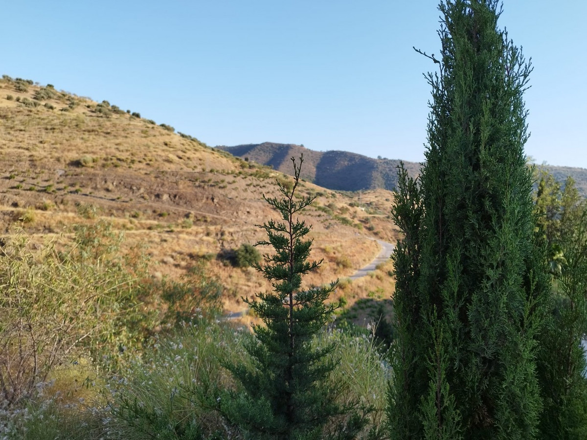 Property main view 3