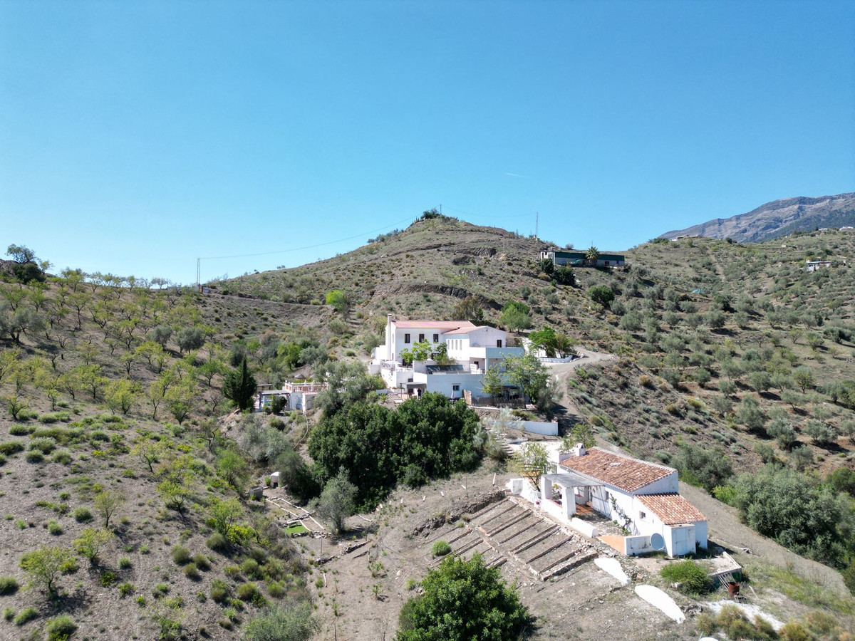 Finca - Cortijo in Canillas de Aceituno-4