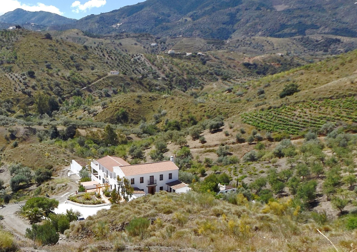 Finca - Cortijo in Canillas de Aceituno-5