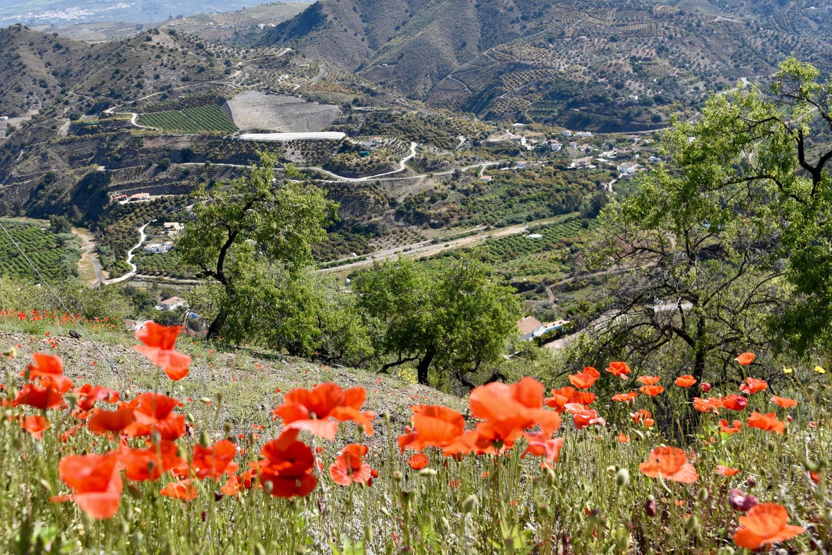 Huis te koop in Canillas de Aceituno | 4 slaapkamers H5195092