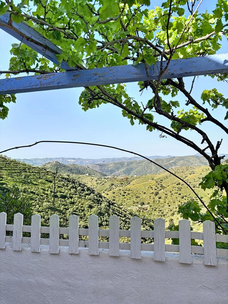 Property main view 43