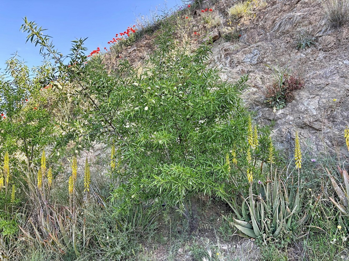 Property main view 49