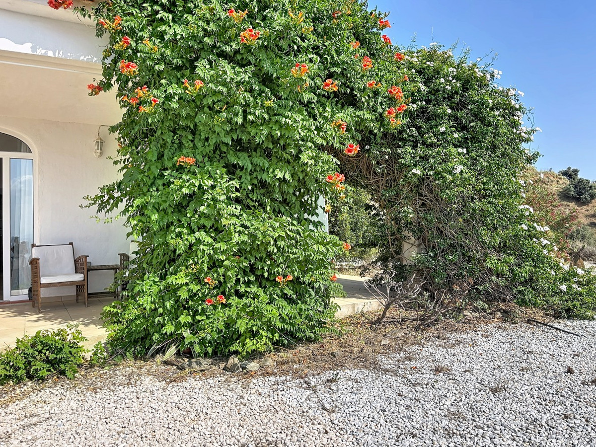 Property main view 38
