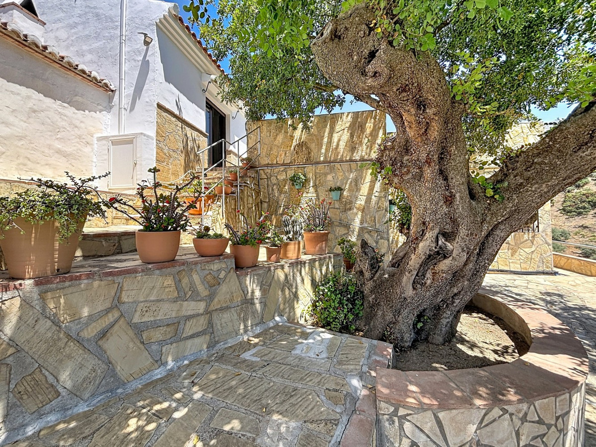 Property main view 50