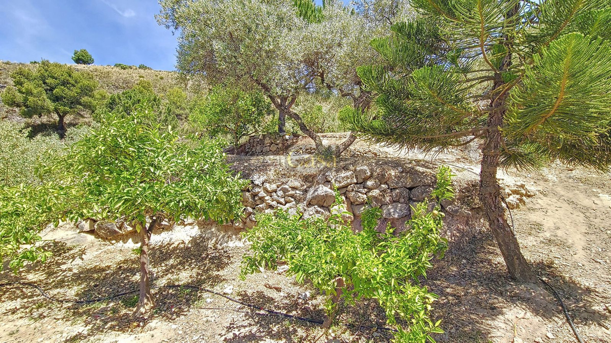 Huis te koop in Canillas de Albaida | 4 slaapkamers H4773520