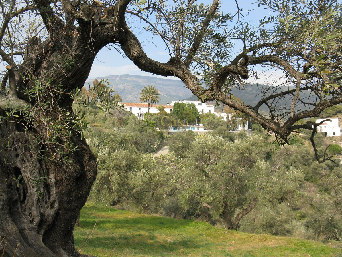 Huis te koop in Canillas de Albaida | 16 slaapkamers H4773532