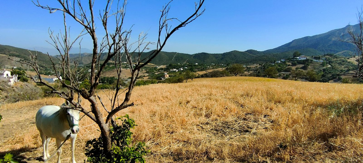 Finca - Cortijo in Carratraca-10