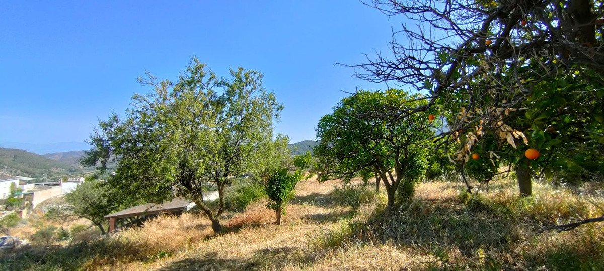 Finca - Cortijo in Carratraca-15