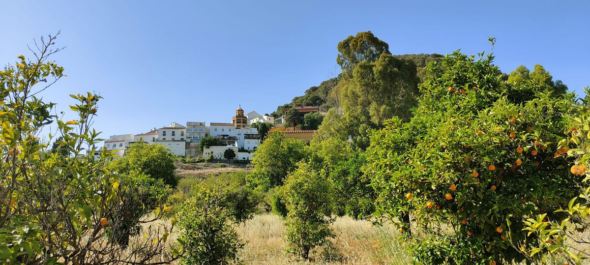 Finca - Cortijo in Carratraca-25