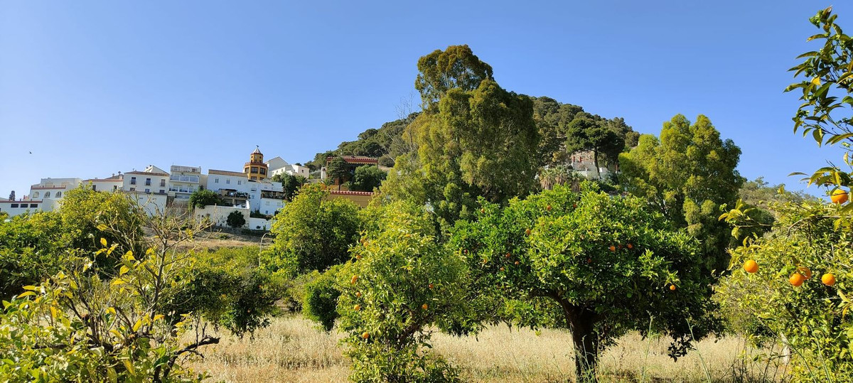 Finca - Cortijo in Carratraca-38