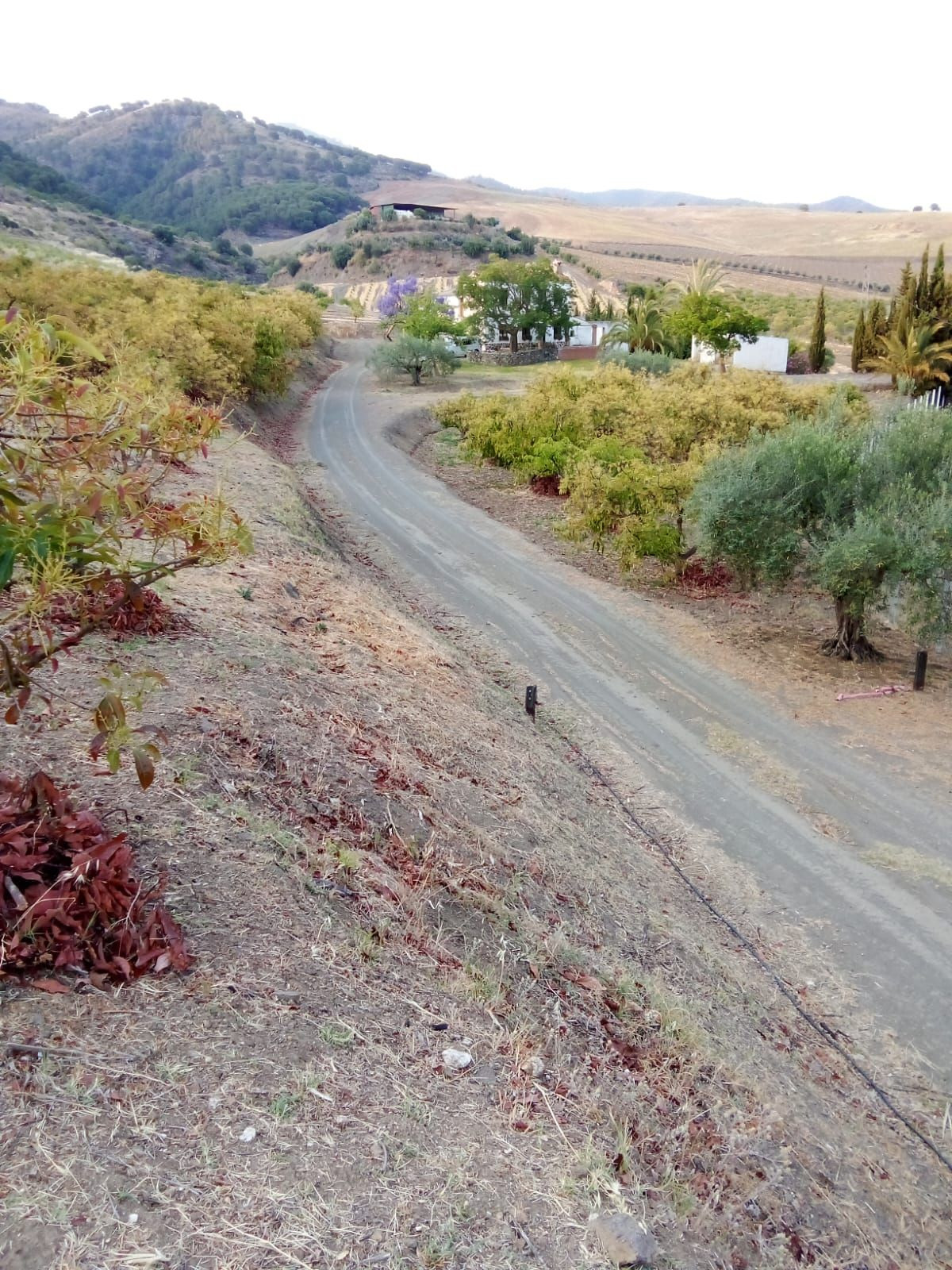 Finca - Cortijo in Carratraca-2